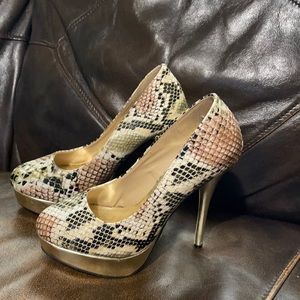 Snake skin heels Charlotte Russe size 6